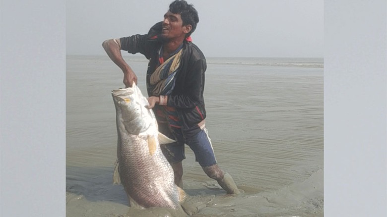হাতিয়ায় নদীর কিনারায় ভাসমান অবস্থায় মিললো ২৩ কেজির কোরাল