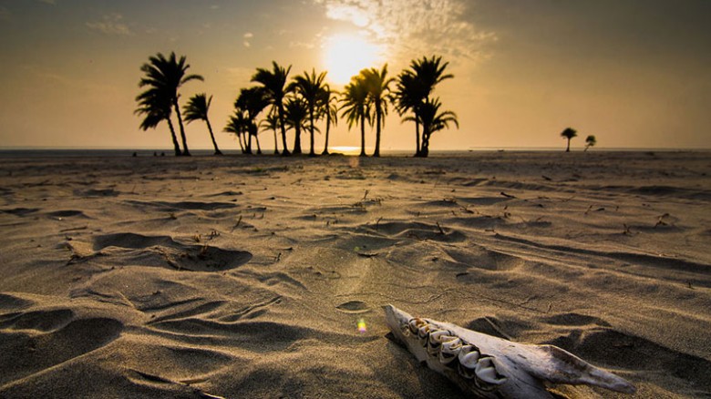 দ্বীপ হাতিয়ার মাটি - আমিনুল ইসলাম সৈকত